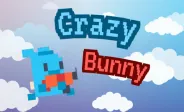 Crazy Bunny img