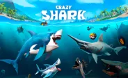 Crazy Shark img