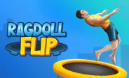 Ragdoll Flip img