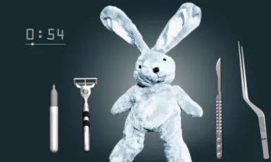 Save the Bunny img